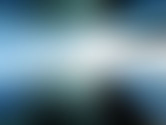 Le paysage du Private Equity : dynamiques des Limited Partners