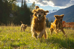 Photo Oct 12 2021, 5 38 29 AM