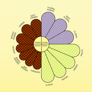Fragrance Notes