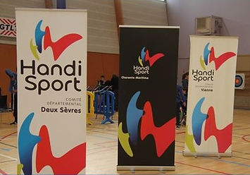Drapeaux des 3 dpts pour PLATEAUX INTERDEPARTEMENT.jpg