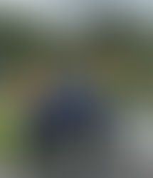 Campeonato Gallego Xunta de Galicia Prebenjamín, Benjamín y Alevín