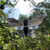 Thumbnail: AWR Moth