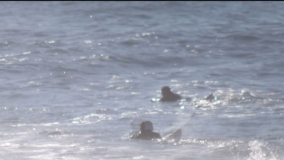 Captura de Pantalla 2024-01-28 a la(s) 16.34_edited.jpg