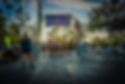 DSC01331.jpeg