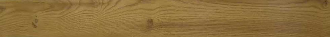 CHICAGO OAK 7038