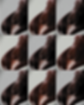 POST INSTAGRAM-7.png