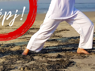 JIAIDO az Everness Fesztiválon - LÉPJ!
