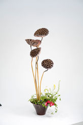 _DSC0164(cs6)末永 有紀.JPG