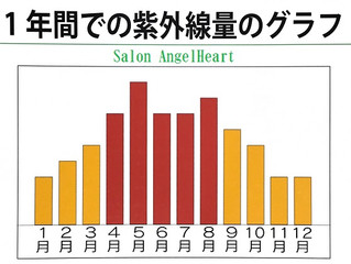 夏に乾燥する原因と対策①
