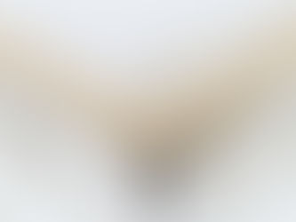 I Found Mold in My Home or Office — What Do I Do Next?