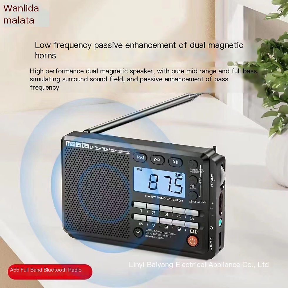 Thumbnail: Malata A55 Bluetooth Multi-Function Portable Player