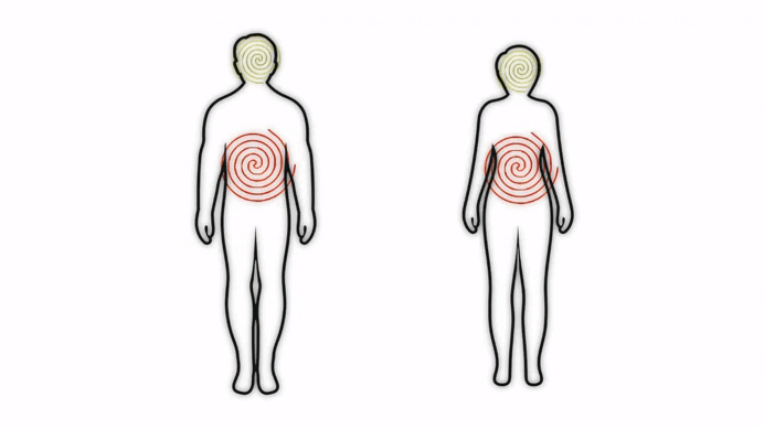 librairie humaine holisitique.gif