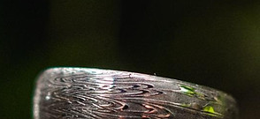 WhatsApp Image 2026-01-05 at 12.18.50 PM.jpeg