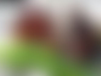 Riggins, The Whitewater Capital of Idaho