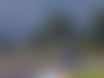 Quartararo Fastest Ahead of Qualifying