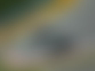 DHL Becomes Official Logistics Partner of MotoGP