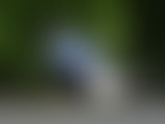 Lintin Takes Maiden TT In Lightweight Race