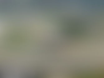 2015 German Grand Prix Preview