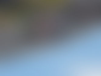 MotoGP 2015: A Subtle Silly Season