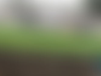 Mixed fortunes at Aguri