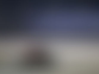 Verstappen - "There was no reason to let him past"