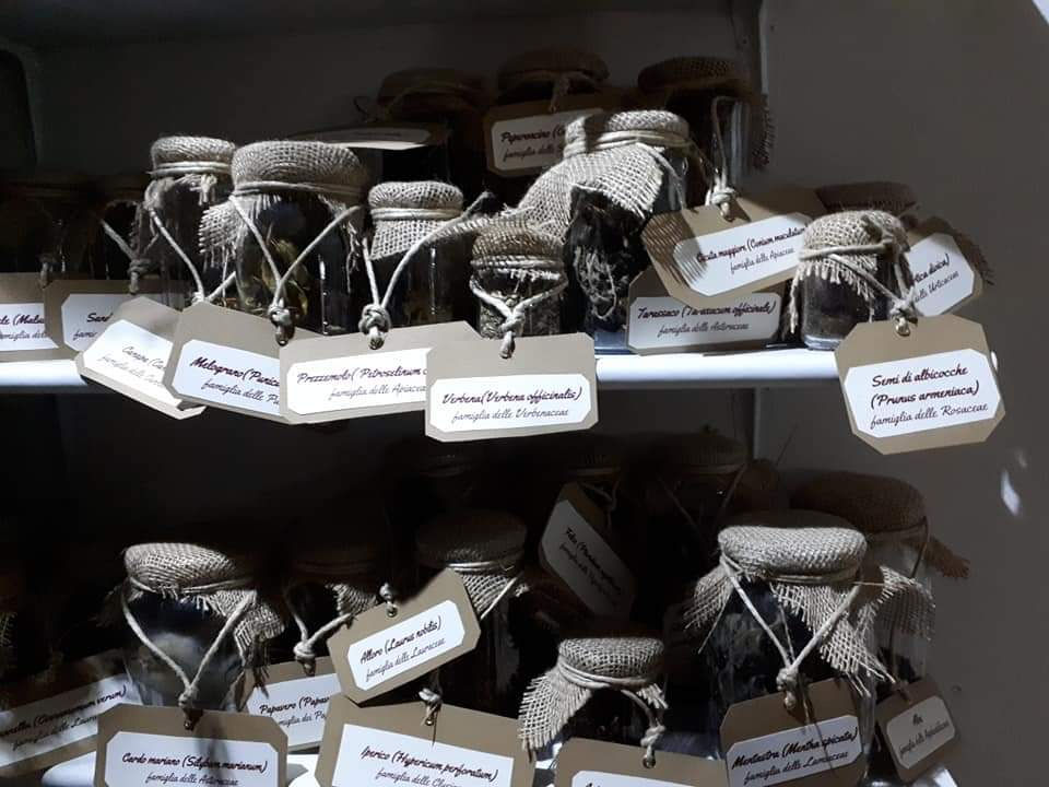 L'erbolario della guaritrice ( dal museo Janua di Benevento)