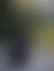 Pleated wide-leg women's pants styled with matching pleated cape in Italy by Repulo's