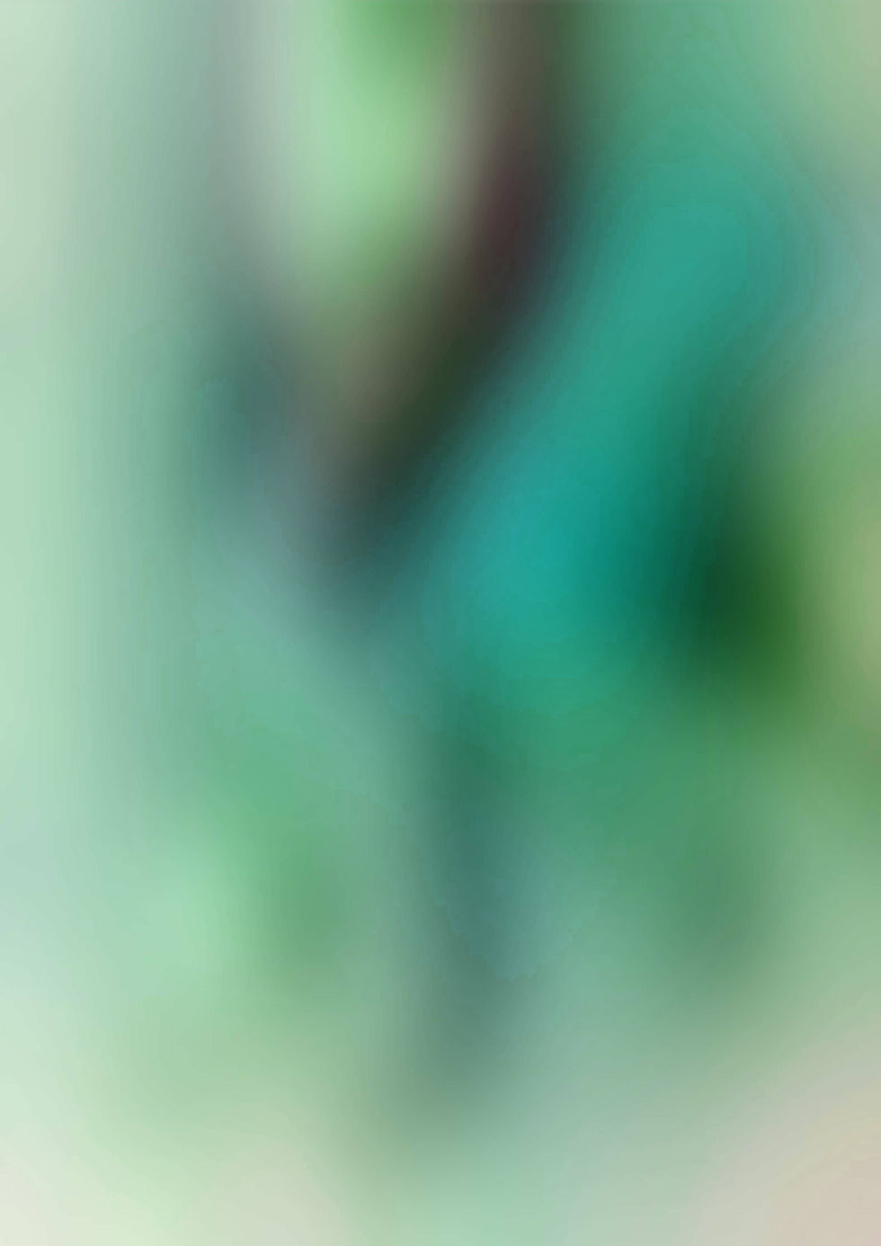 Sfondo Versione Verde.jpg