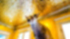 Lm (4 of 7).jpg