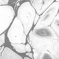 Abstract Surface