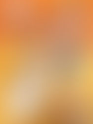 The Symphony of Paints