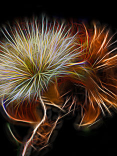 Howard Harris: Discover Aesthetics Invisible to the Human Eye