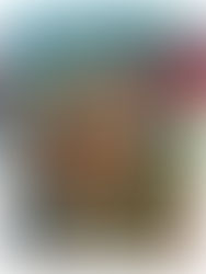 Anson Liaw – Pronounced Lines, Profound Visions