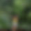 Thumbnail: Lime Halter Crop