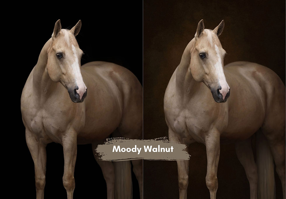 Miniaturbild: The Painterly Backdrop Collection – Starter Bundle