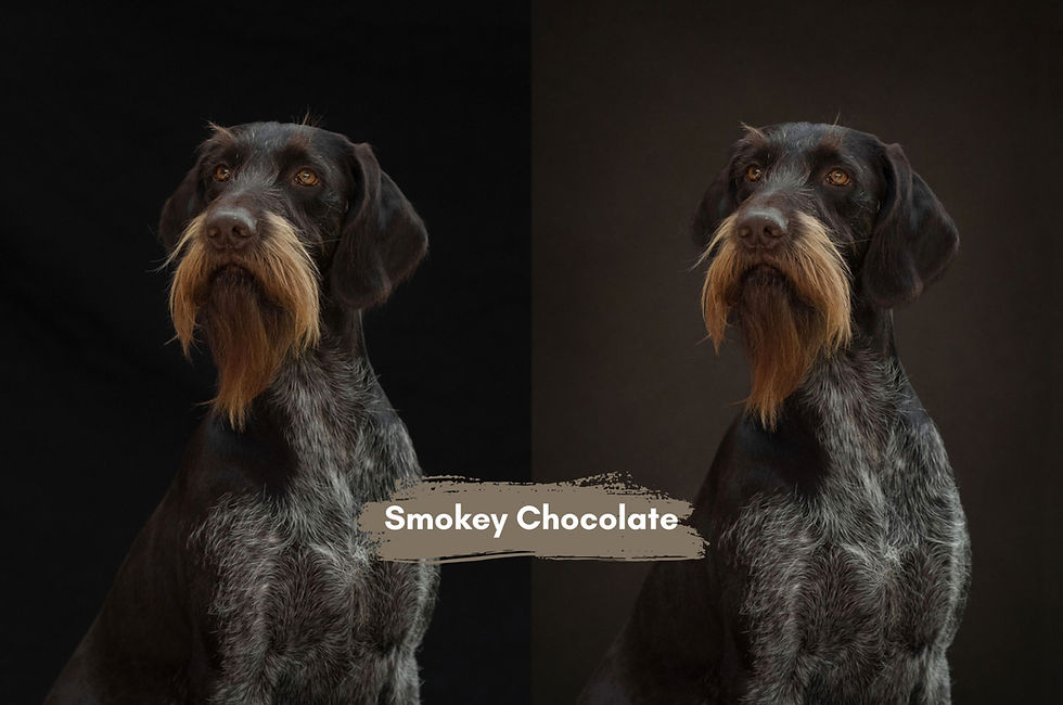 Thumbnail: The Painterly Backdrop Collection – Starter Bundle