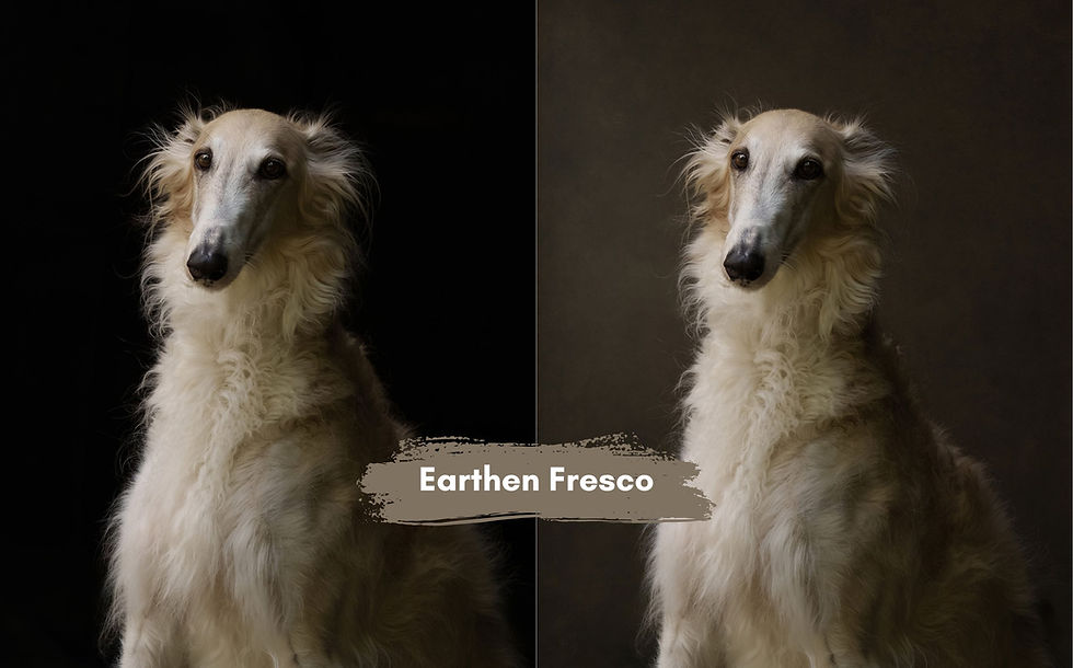 Thumbnail: The Painterly Backdrop Collection – Starter Bundle