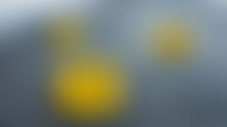 GUNMEN ATTACK CHRISTMAS CELEBRATION IN PERU, LEAVING AN OFFICIAL DEAD AND CHILDREN INJURED, AND IN COLOMBIA, AN INDIGENOUS COMMUNITY OBSTRUCTS AN ARMY OPERATION, ENABLING ELN TO ABDUCT SOLDIERS