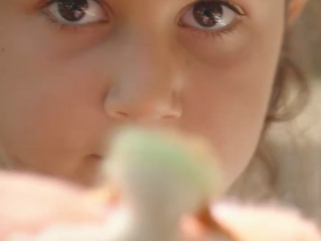 "The School of Earth" by Or & Lior Paz - Advertising clip for closing deals