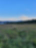 116923101_3227180230683115_4464357714062747633_n.jpeg