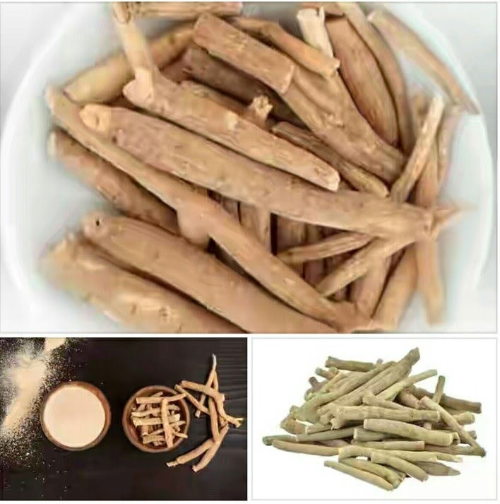 Plant like Ashwagandha