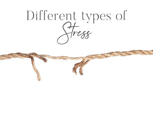 Stress is Chemical