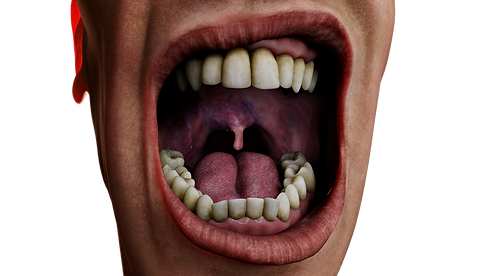 moutj_direct.0050.png