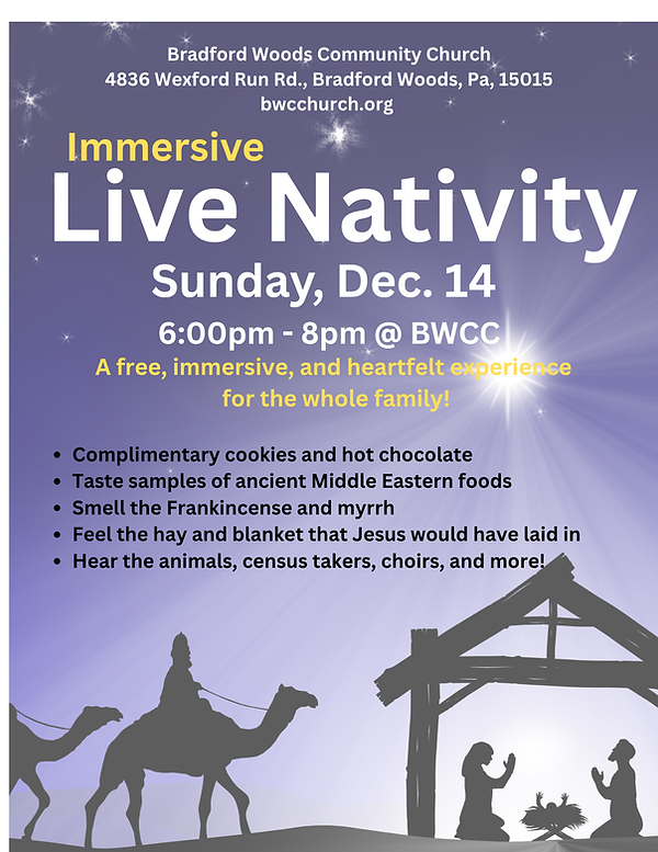 Live Nativity Flyer (1).png