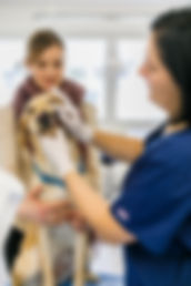 Services für Kleintier-Beutzerinnen und Besitzer