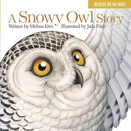 A Snowy Owl Story