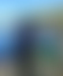 Ravens Are My Brothers