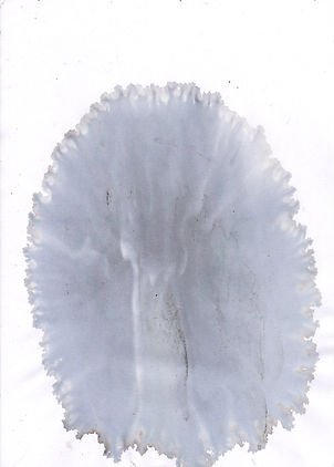 chairfa49.jpg