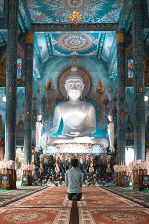 CAUSE ED OGGETTO DEL RIFUGIO