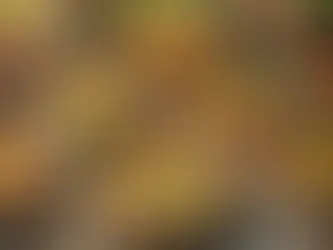 🥧 Campagne de Ventes de Quiches - Soutenez l'AP ! 🥧